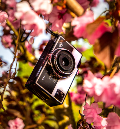 pink camera